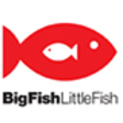 Big Fish Little Fish